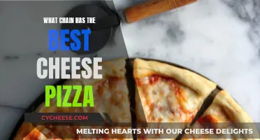 Cheese Pizza: Which Chain Serves the Ultimate Classic?