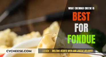 Mastering Fondue: The Ultimate Cheddar Guide for a Perfect Melt