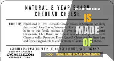 The Surprising Ingredients in Cheddar Cheese: A Tasty Journey