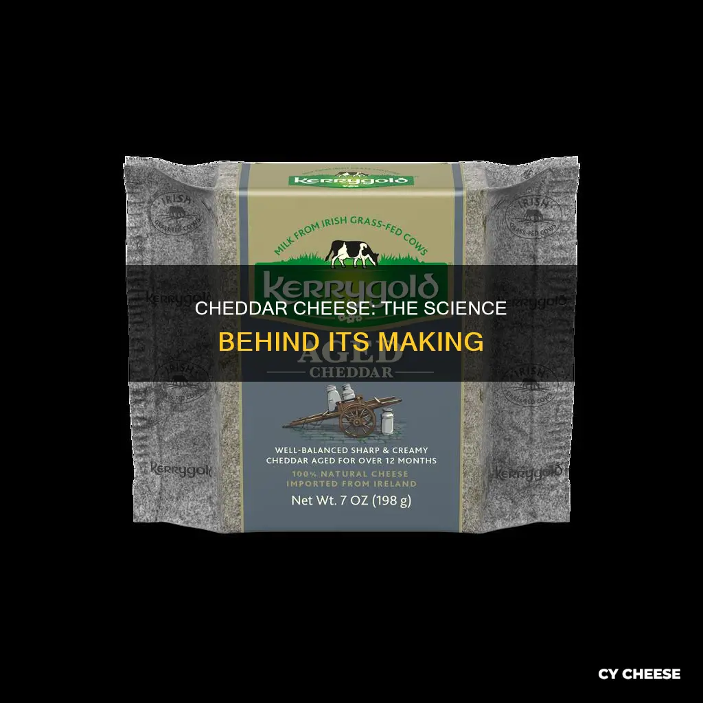 what cheddar cheese is made of