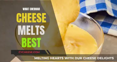 The Ultimate Guide to Cheddar Melting: Best Choices Revealed