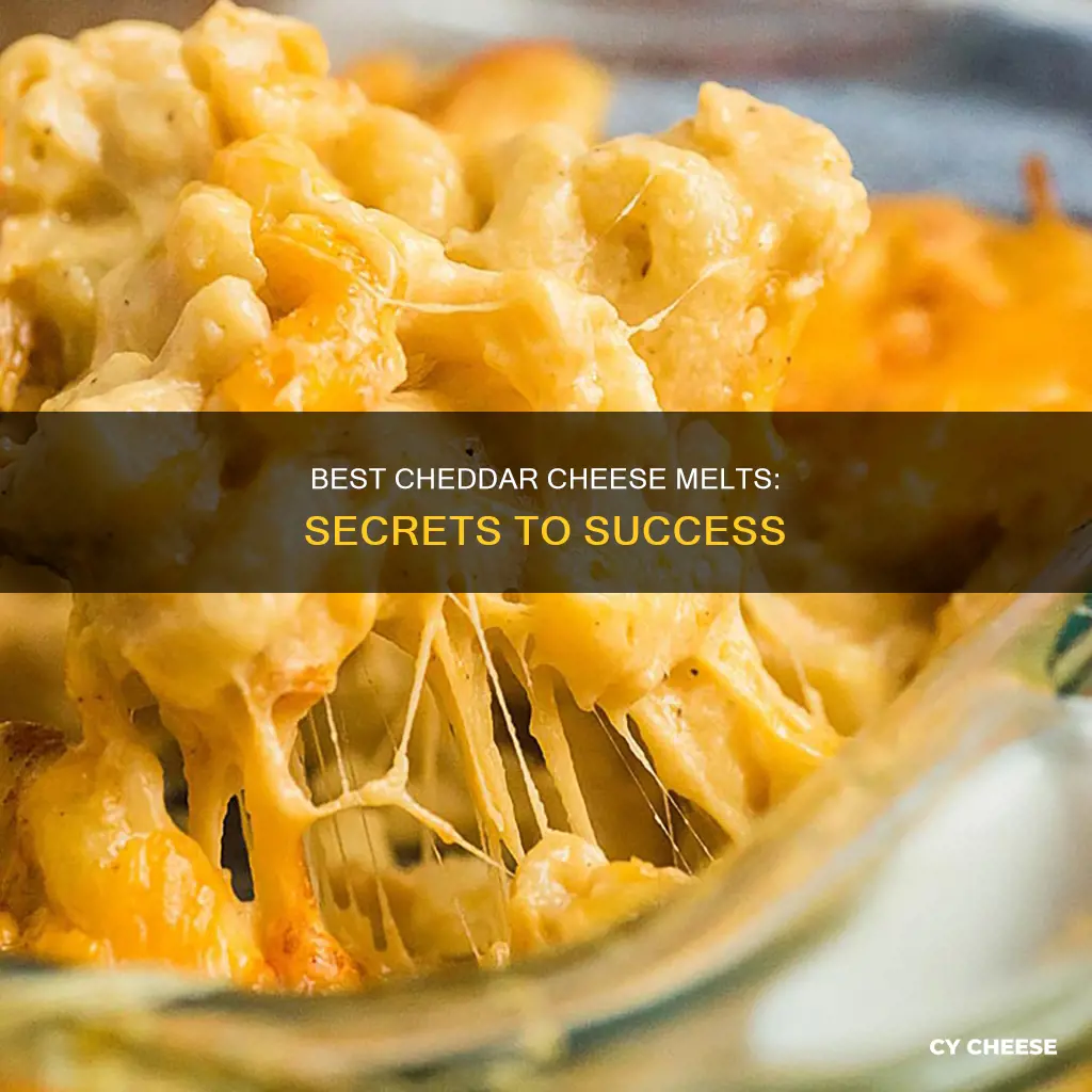 what cheddar cheese melts best