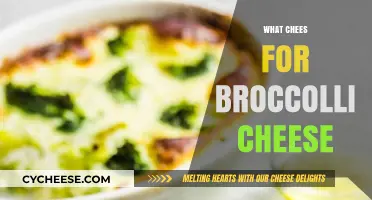 Best Cheese Pairings for Creamy Broccoli Cheese Recipes Revealed