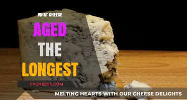 Exploring the World's Oldest Aged Cheese Varieties and Their Secrets