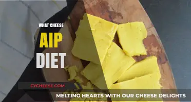 AIP-Friendly Cheese Alternatives: Delicious Options for Your Diet