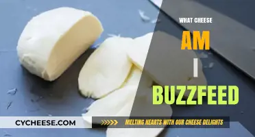 Discover Your Cheesy Personality: What Cheese Are You Buzzfeed Quiz
