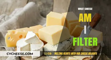 Discover Your Cheesy Alter Ego: The 'What Cheese Am I' Filter Explained