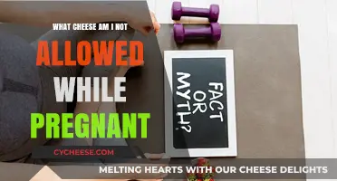 Pregnancy Cheese Restrictions: What to Avoid for a Healthy Baby