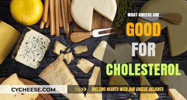 Heart-Healthy Cheese Choices: Best Options to Manage Cholesterol Levels
