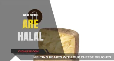 Halal Cheese Guide: Understanding Which Cheeses Are Permissible for Muslims