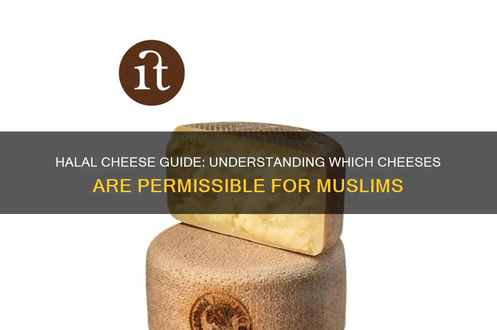 what cheese are halal
