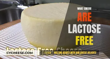 Lactose-Free Cheeses: What Are Your Options?