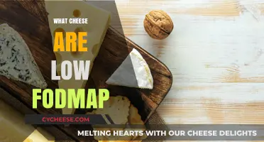 Low FODMAP Cheese Guide: Delicious Dairy Options for Sensitive Stomachs