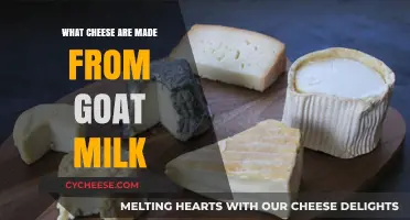 Goat's Milk Cheese: A Cheesy Adventure