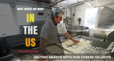 Exploring America's Cheesy Delights: A Guide to US-Made Cheeses