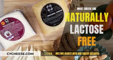 Cheese Lovers Rejoice: Lactose-Free Cheeses to Enjoy