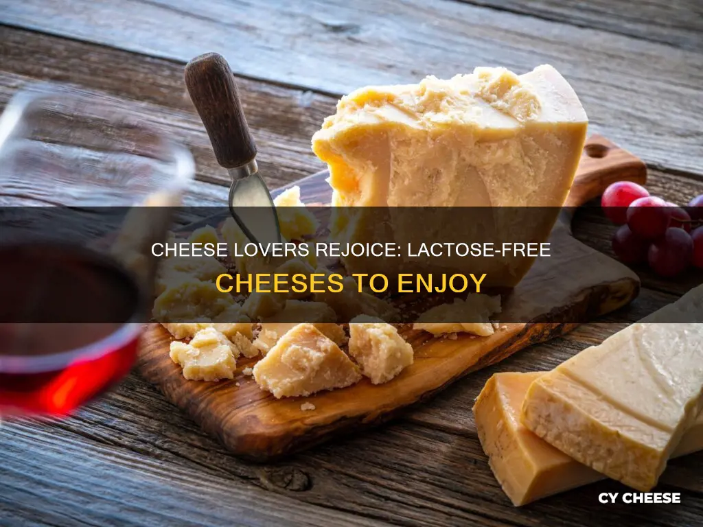 what cheese are naturally lactose free