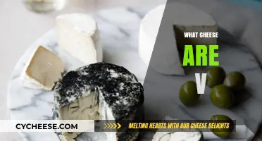What Cheese Are V: Vegan Cheese Varieties Explained and Compared