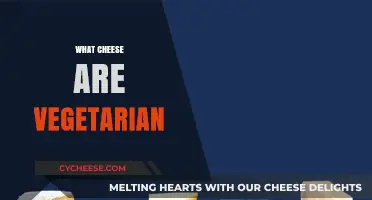 Vegetarian-Friendly Cheese Guide: Discover Dairy Options Without Animal Rennet