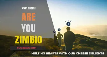 Discover Your Cheesy Personality: What Cheese Are You Zimbio?
