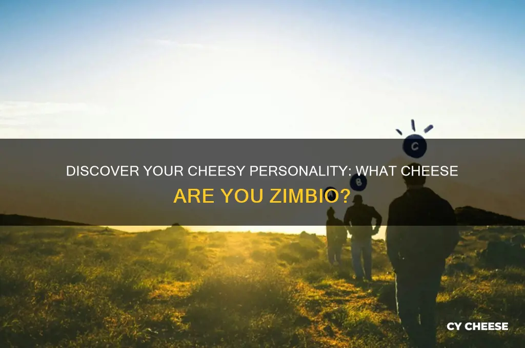 what cheese are you zimbio