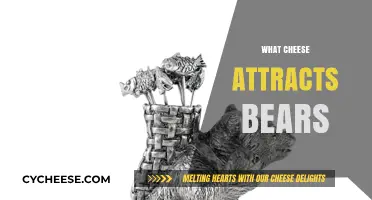 Cheese That Lures Bears: Unveiling the Unexpected Attraction