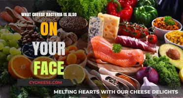 Cheese Bacteria on Your Face: Surprising Skin Microbiome Connections