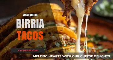 Cheese Birria Tacos: A Melty, Juicy, Spicy Mexican Delight