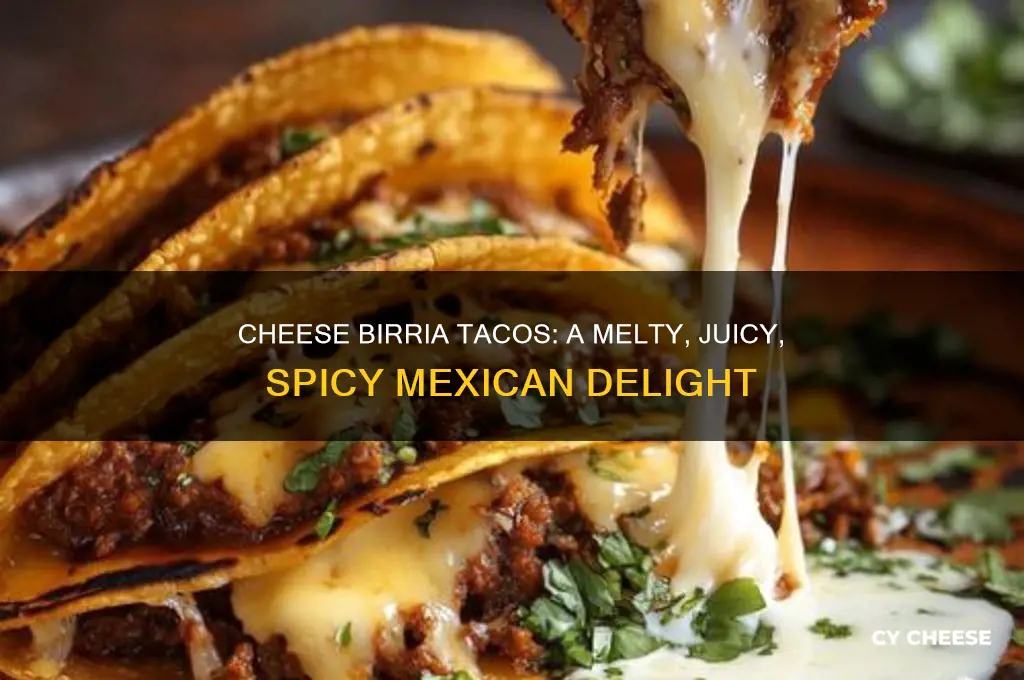 what cheese birria tacos