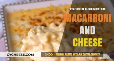 Cheese Blends: The Ultimate Mac and Cheese
