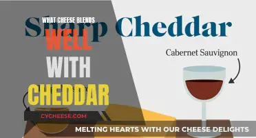 Exploring Cheddar's Best Companions: A Guide to Delicious Cheese Blends