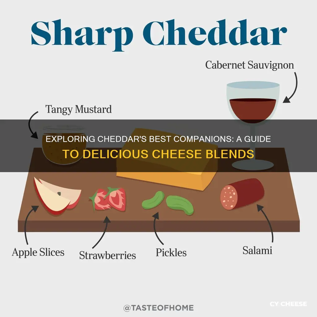 what cheese blends well with cheddar