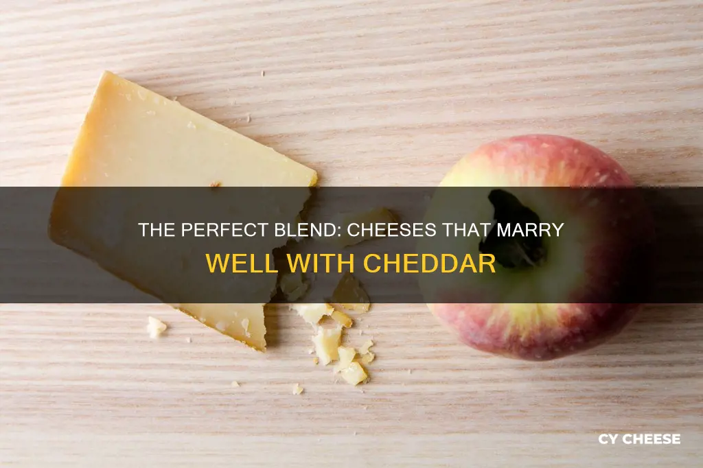 what cheese blends well with cheddar