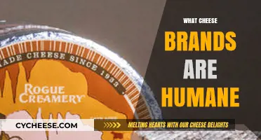 Ethical Cheese Choices: Discovering Brands Committed to Humane Practices