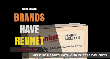Discover Cheese Brands Containing Rennet: A Comprehensive Guide for Cheese Lovers