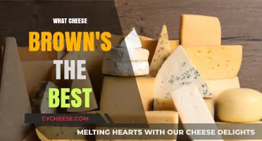 The Ultimate Cheese Brown Experience