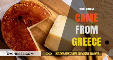 Exploring Greece's Authentic Cheese Varieties: A Delicious Journey