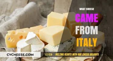 Exploring Italy's Iconic Cheeses: A Delicious Journey Through Tradition