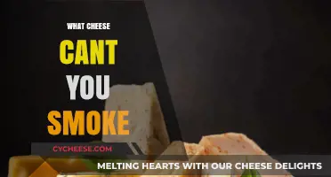 Unsmokeable Cheeses: Which Varieties Resist the Smoker’s Touch?