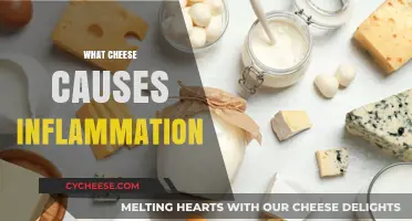 Cheese and Inflammation: Which Varieties to Avoid for Better Health