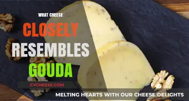 Discover the Best Cheese Alternatives That Resemble Gouda's Flavor
