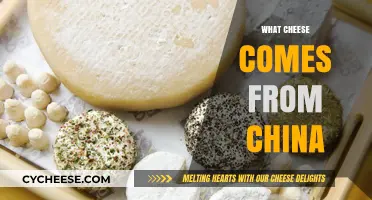 Exploring China's Unique Cheese Varieties: A Culinary Journey