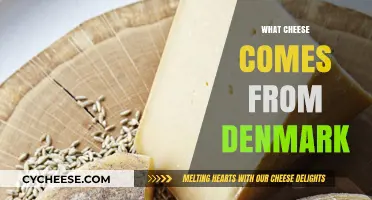 Discover Denmark's Delicious Dairy: Exploring Traditional Danish Cheeses