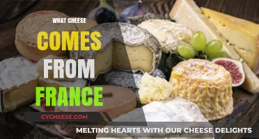 Discovering France's Iconic Cheeses: A Guide to Authentic French Varieties