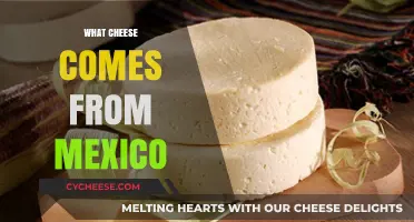 Discovering Mexico's Cheesy Delights: A Guide to Authentic Mexican Cheeses