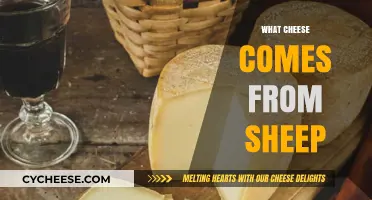 Sheep's Milk Cheese: Exploring Varieties, Flavors, and Traditions