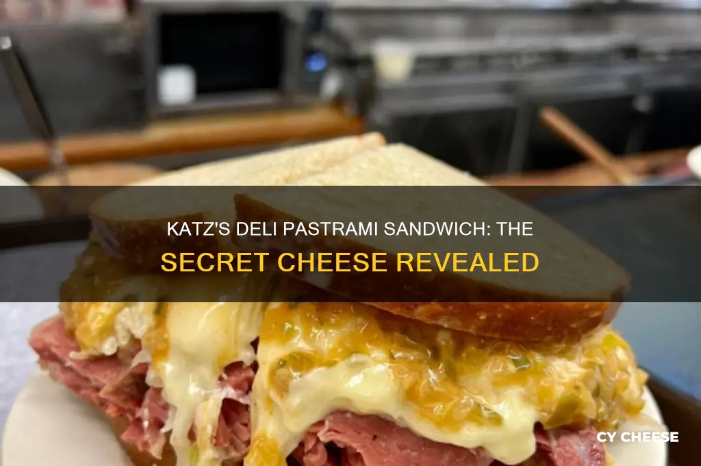 what cheese comes on katz deli pastrami sandwich