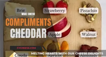 Exploring Cheddar's Perfect Pairings: A Guide to Complementary Cheeses