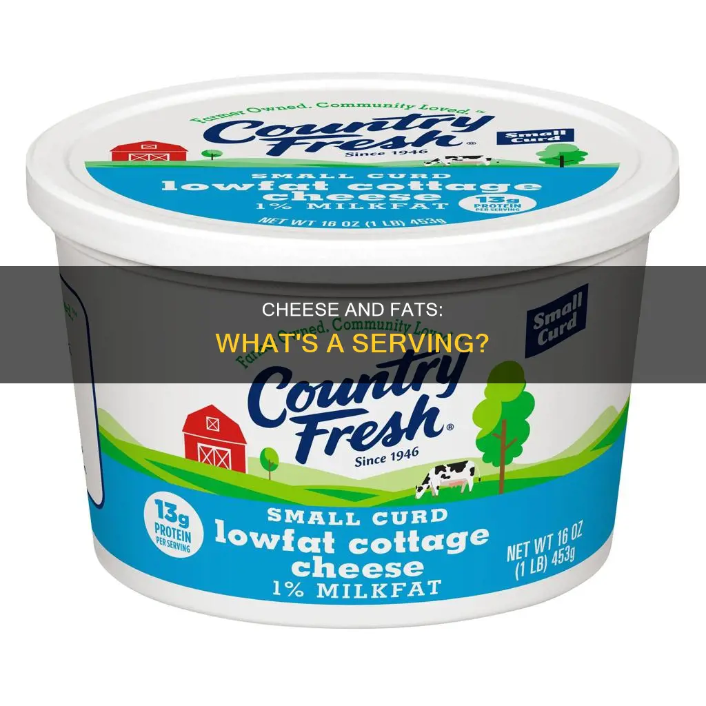 what cheese considered as a fat serving