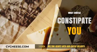Cheese and Constipation: Which Varieties Might Slow Your Digestion?